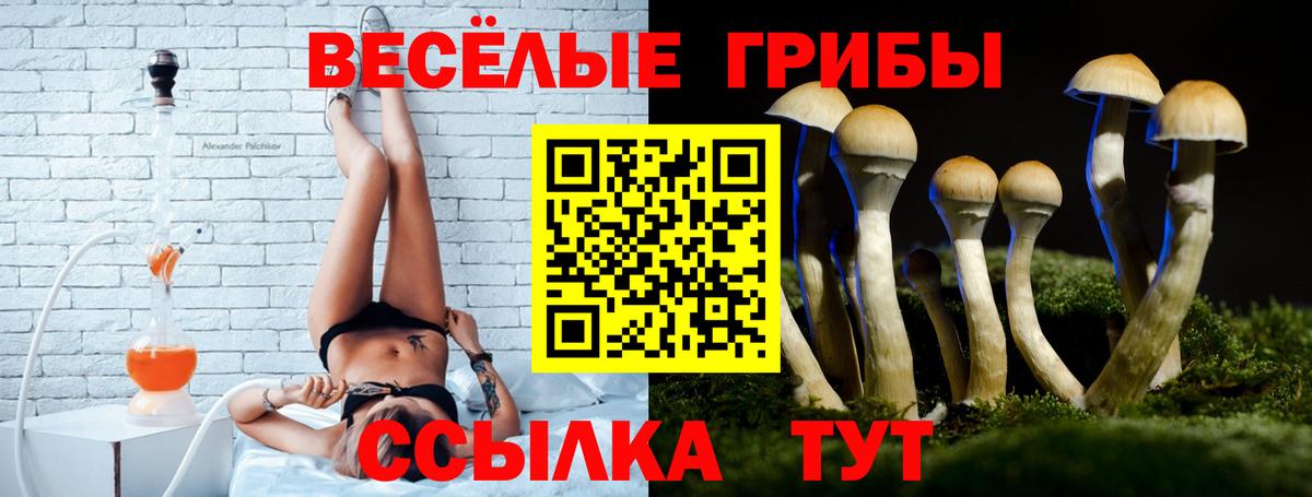 Галлюциногенные грибы прущие грибы Междуреченск