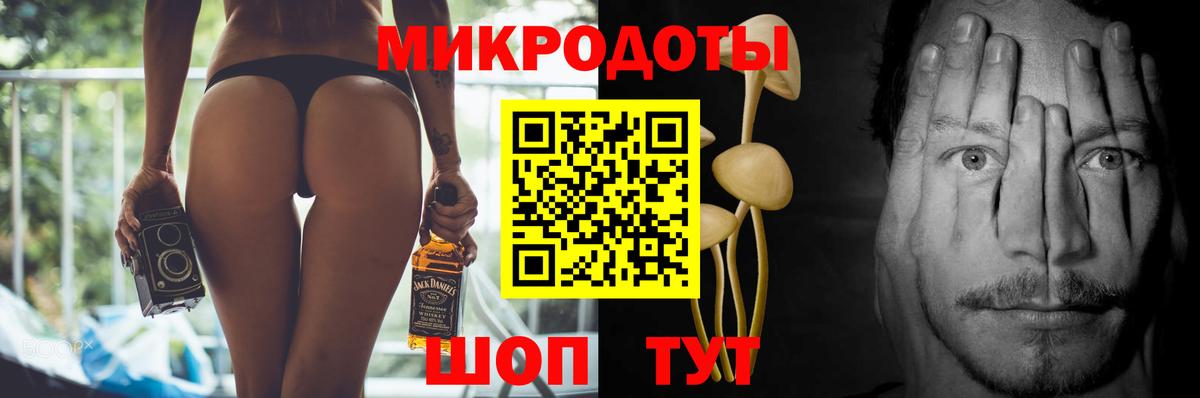 Междуреченск  Псилоцибиновые грибы Psilocybe  Вход с VPN 